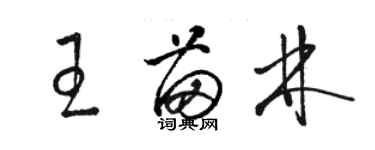 駱恆光王苗林草書個性簽名怎么寫