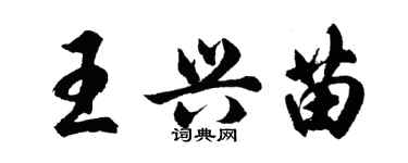 胡問遂王興苗行書個性簽名怎么寫