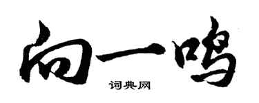 胡問遂向一鳴行書個性簽名怎么寫