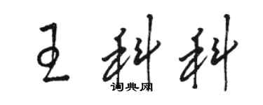 駱恆光王科科草書個性簽名怎么寫
