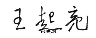 駱恆光王起亮草書個性簽名怎么寫