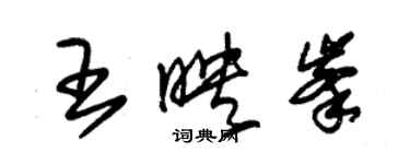 朱錫榮王映峰草書個性簽名怎么寫