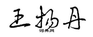 曾慶福王揚丹草書個性簽名怎么寫