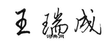 駱恆光王瑞成行書個性簽名怎么寫