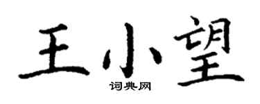 丁謙王小望楷書個性簽名怎么寫