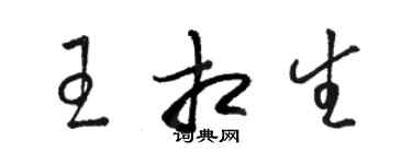 駱恆光王相生草書個性簽名怎么寫