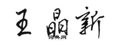 駱恆光王晶新行書個性簽名怎么寫