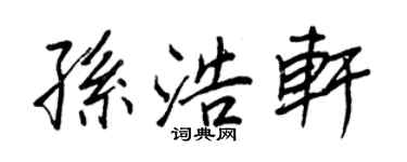 王正良孫浩軒行書個性簽名怎么寫