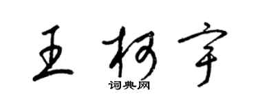 梁錦英王柯宇草書個性簽名怎么寫