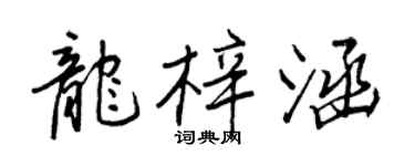 王正良龍梓涵行書個性簽名怎么寫