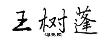 曾慶福王樹蓬行書個性簽名怎么寫
