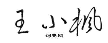 駱恆光王小楓草書個性簽名怎么寫