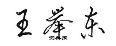 駱恆光王舉東行書個性簽名怎么寫