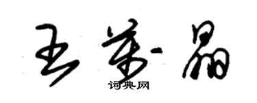 朱錫榮王萬晶草書個性簽名怎么寫