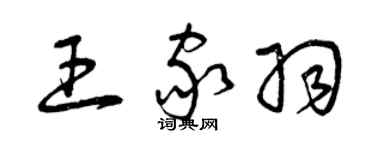 曾慶福王家羽草書個性簽名怎么寫