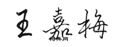 駱恆光王嘉梅行書個性簽名怎么寫