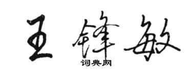 駱恆光王鋒敏行書個性簽名怎么寫