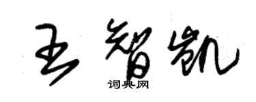 朱錫榮王智凱草書個性簽名怎么寫