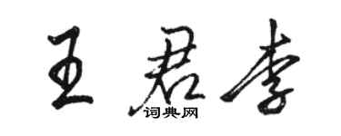 駱恆光王君李行書個性簽名怎么寫