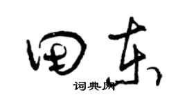 曾慶福田東草書個性簽名怎么寫