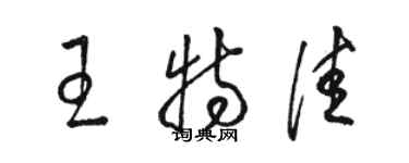 駱恆光王特佳草書個性簽名怎么寫