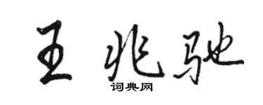 駱恆光王兆馳行書個性簽名怎么寫