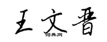 王正良王文晉行書個性簽名怎么寫