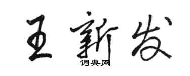 駱恆光王新發行書個性簽名怎么寫