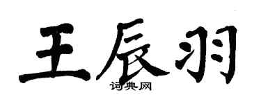 翁闓運王辰羽楷書個性簽名怎么寫