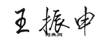 駱恆光王振申行書個性簽名怎么寫
