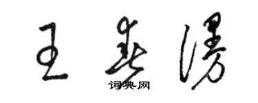 駱恆光王春漫草書個性簽名怎么寫