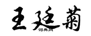 胡問遂王廷菊行書個性簽名怎么寫