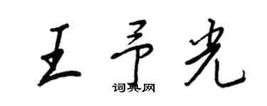 王正良王予光行書個性簽名怎么寫