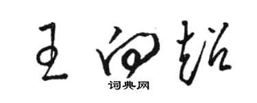 駱恆光王向超草書個性簽名怎么寫