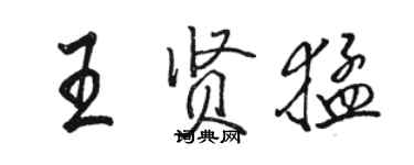 駱恆光王賢猛行書個性簽名怎么寫