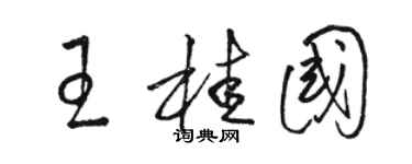 駱恆光王桂國草書個性簽名怎么寫