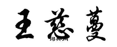 胡問遂王慈蔓行書個性簽名怎么寫