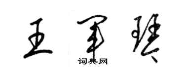 梁錦英王軍琴草書個性簽名怎么寫