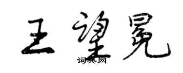 曾慶福王望冕行書個性簽名怎么寫