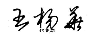 朱錫榮王楊華草書個性簽名怎么寫