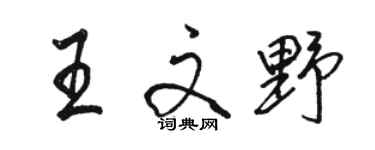駱恆光王文野行書個性簽名怎么寫