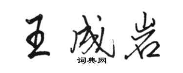 駱恆光王成岩行書個性簽名怎么寫