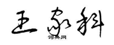 曾慶福王家科草書個性簽名怎么寫