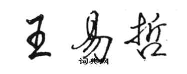 駱恆光王易哲行書個性簽名怎么寫