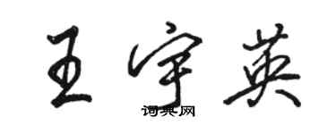 駱恆光王宇英行書個性簽名怎么寫