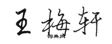 駱恆光王梅軒行書個性簽名怎么寫