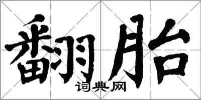 翁闓運翻胎楷書怎么寫