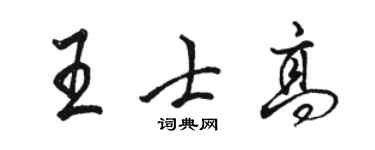 駱恆光王士高行書個性簽名怎么寫
