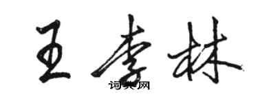 駱恆光王李林行書個性簽名怎么寫