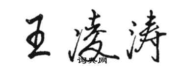 駱恆光王凌濤行書個性簽名怎么寫